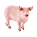 Schleich -  Schwein